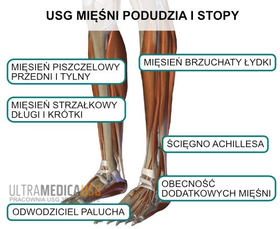 USG mięśni podudzia i stopy Badanie ultrasonograficzne mięśni podudzia i stopy